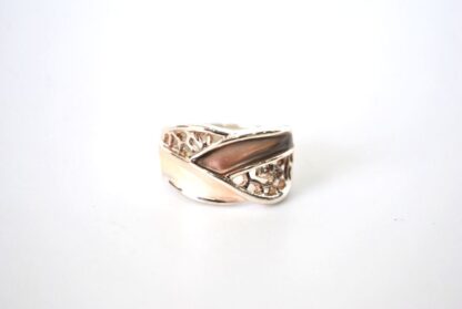 Anillo plateado esmaltes marrones